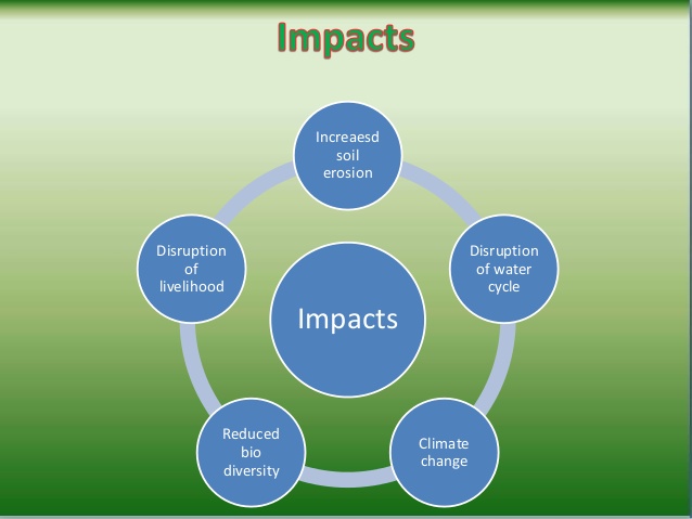 deforestation-its-causes-and-impacts-11-638